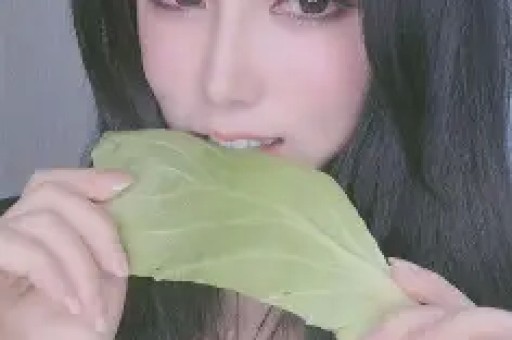 百万网红黄一鸣被永久封禁：一场遛狗风波引发的人设崩塌